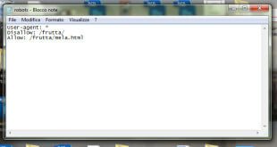 A cosa serve il file robots.txt