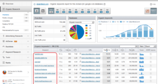 semrush opinioni recensioni e pareri